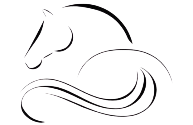 Illustration cheval western