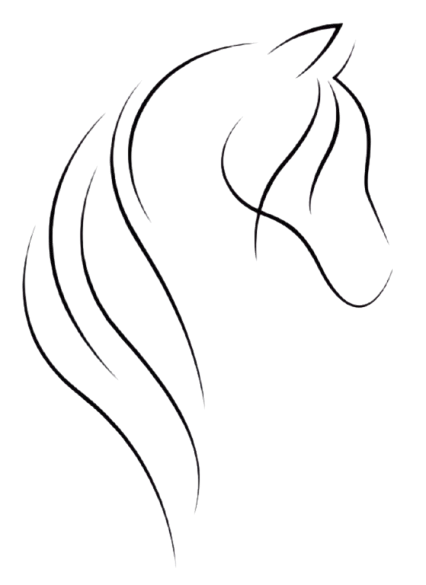 Illustration cheval de profil